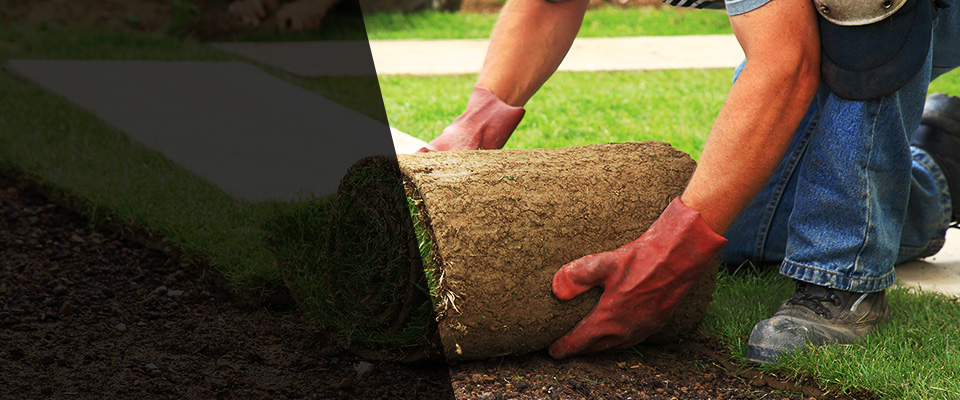 Rushland Landscapers